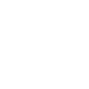 SecureShare Logo Light